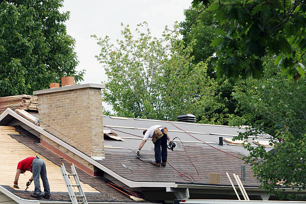 Best Roof Restoration Services  in Norris City, IL