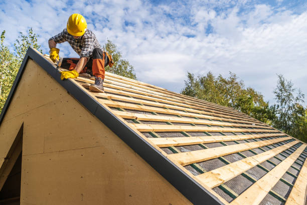 Best Roofing Contractor Near Me  in Norris City, IL